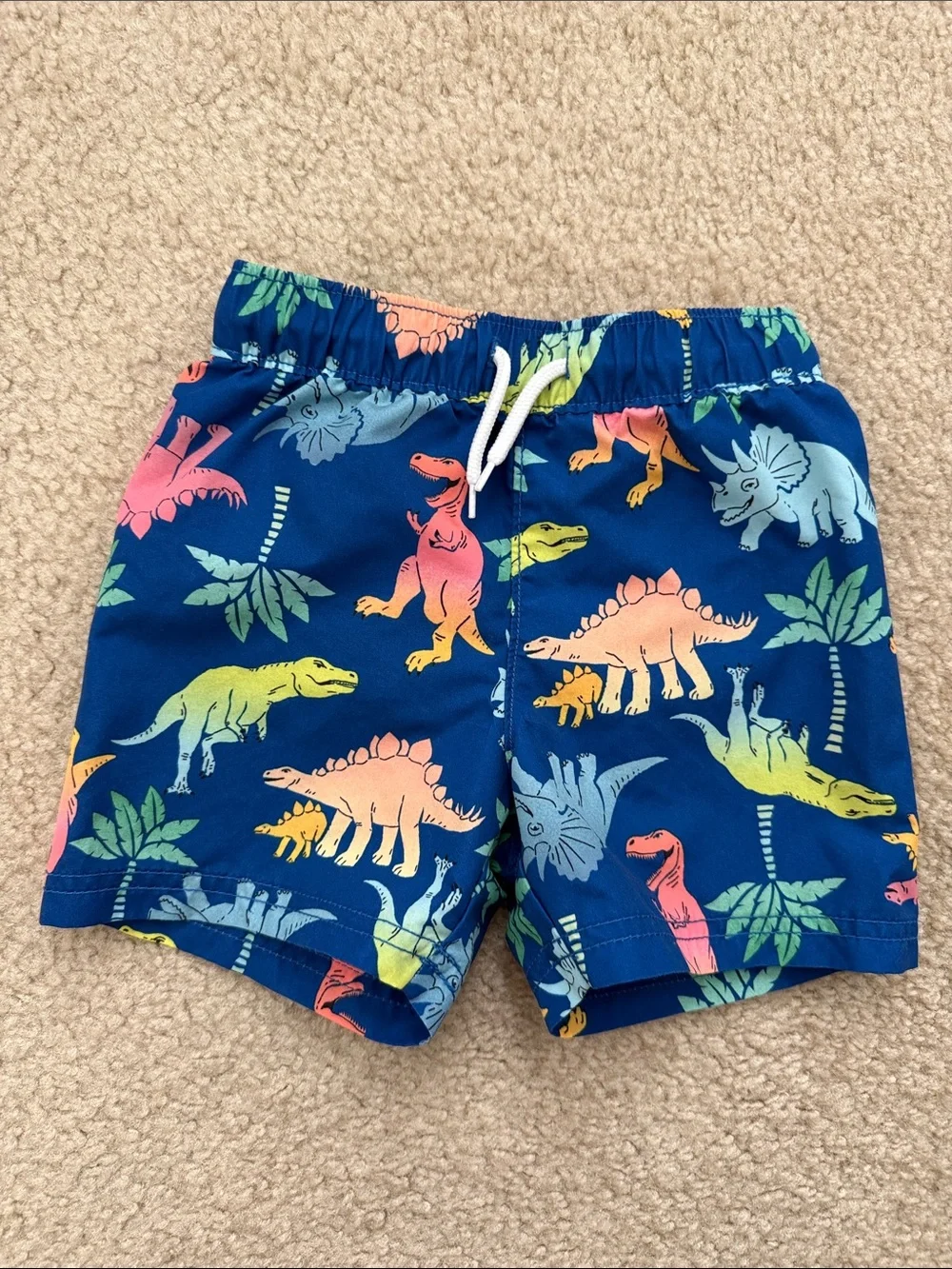 Old Navy Blue Dinosaur Swim Shorts with Colorful Dino Print Size 2T